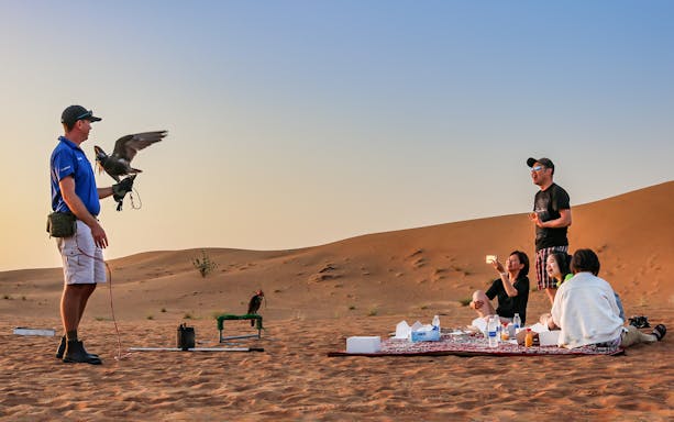 Falconry demonstration in Dubai desert with tourists seated on a rug.