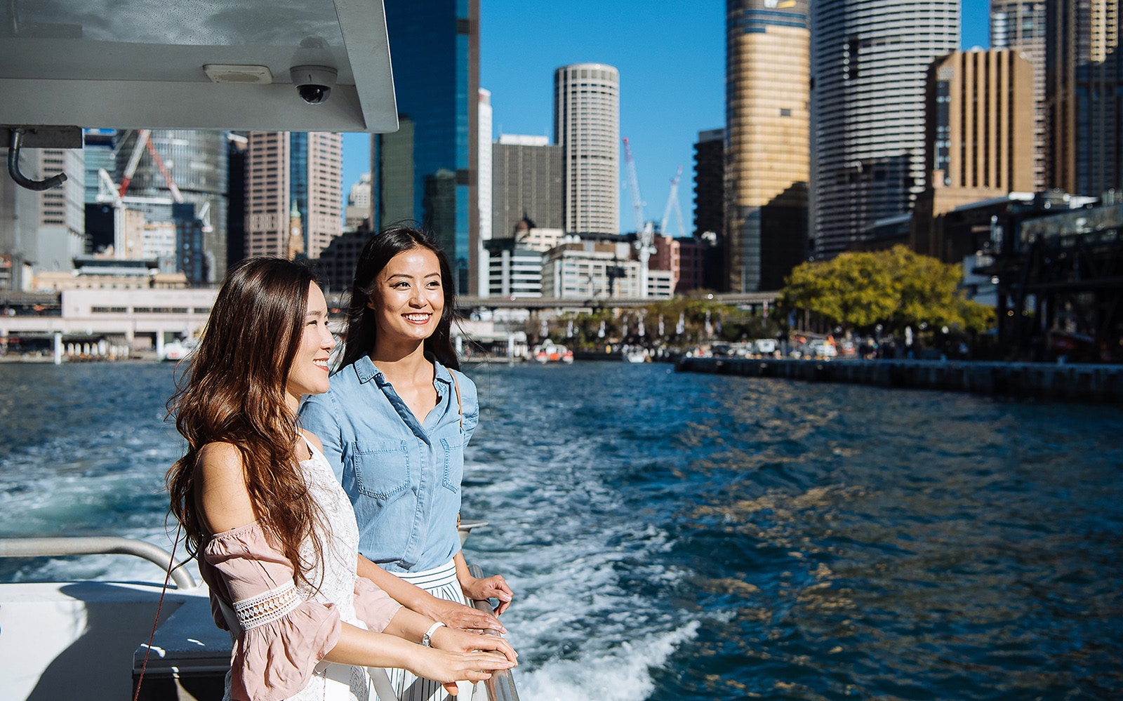 Sydney Harbour whale watching cruise with tourists observing a breaching humpback whale.