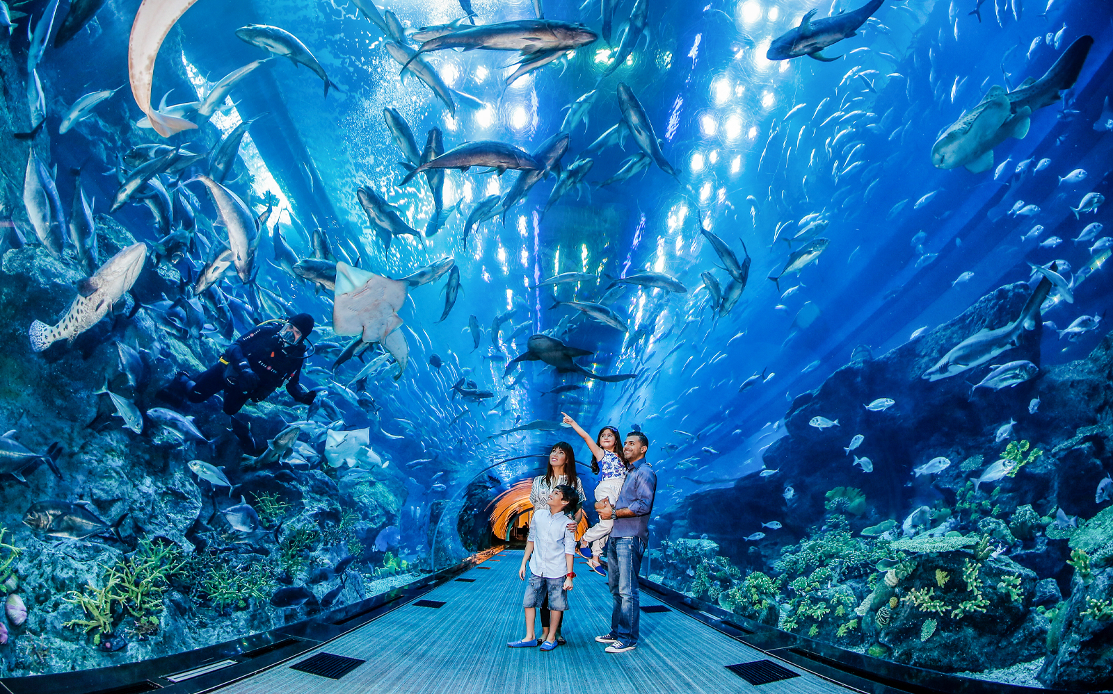 Family exploring underwater tunnel at Dubai Aquarium, surrounded by diverse marine life.