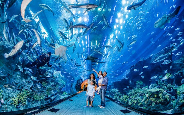 Family exploring underwater tunnel at Dubai Aquarium, surrounded by diverse marine life.