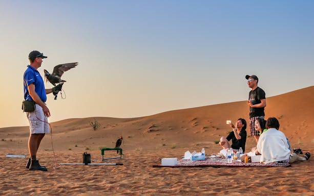 Falconry experience in Dubai desert with tourists enjoying a picnic.