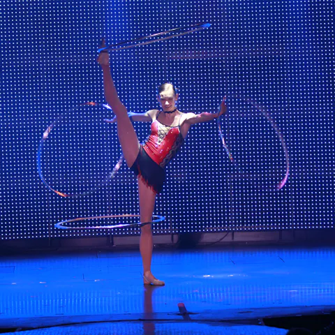 Las Vegas Show Image