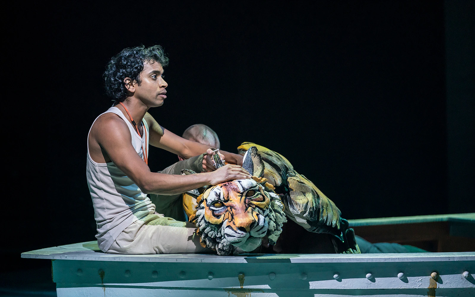 Life of Pi
