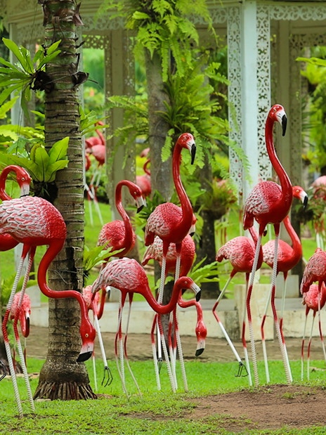 Flamingo sculptures among palm trees at Nong Nooch Tropical Garden.
