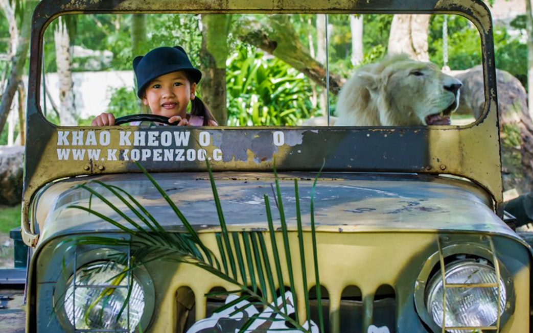 Child in a jeep with a lion at Khao Kheow Open Zoo, Thailand.