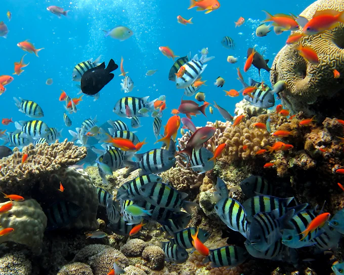 Underwater World Pattaya