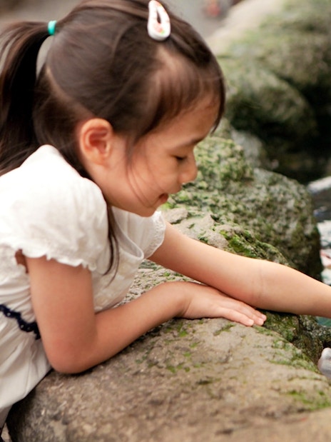 Child feeding koi fish at Underwater World Pattaya.