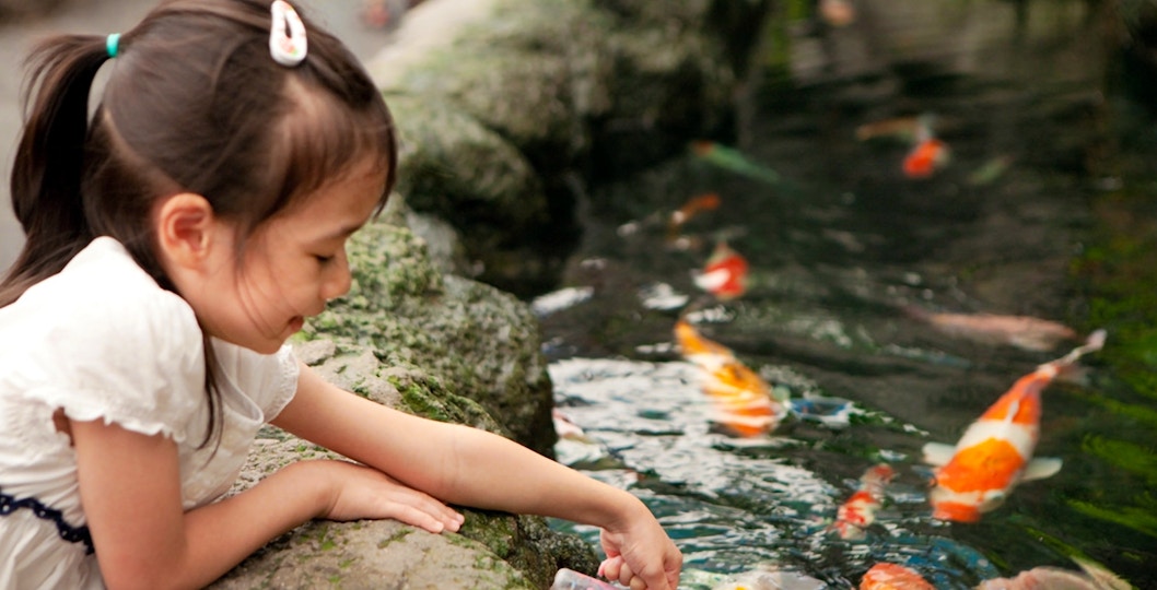 Underwater World Pattaya