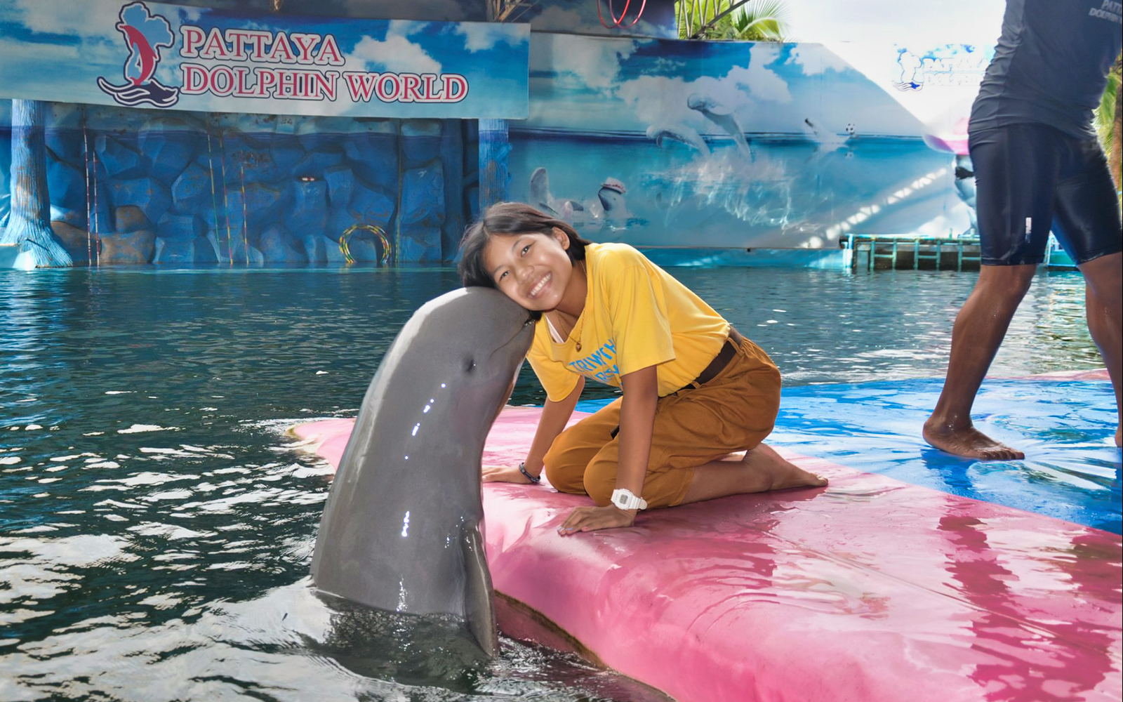 Person interacting with a dolphin at Pattaya Dolphin World.
