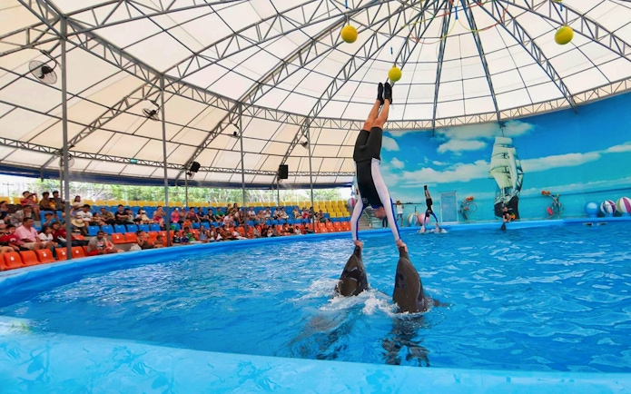 Trainer performing with dolphins at Phuket Dolphin Show.