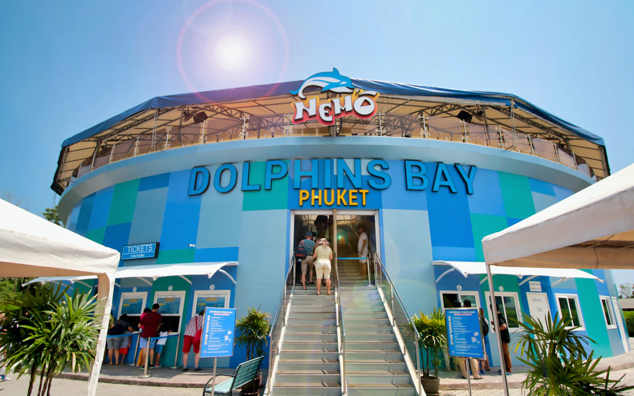 Phuket Dolphin Show Tickets: Ausländer