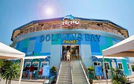 Phuket Dolphin Show Tickets: Foreigners