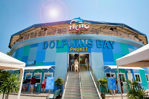 Phuket Dolphin Show Tickets: Foreigners