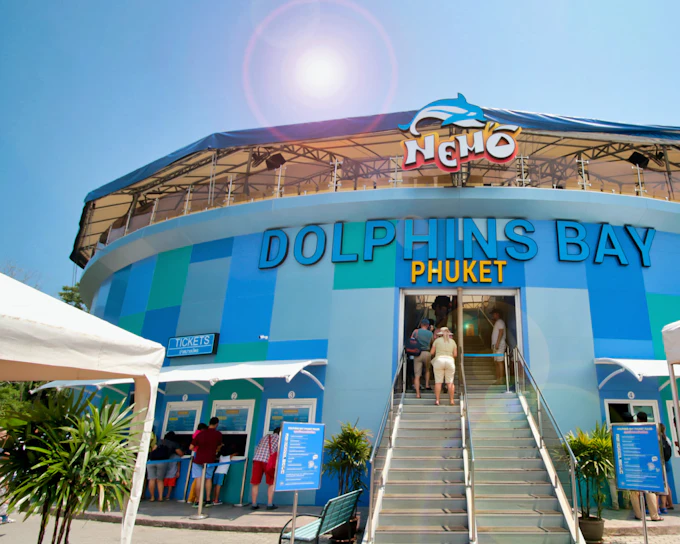 Phuket Dolphin Show Tickets: Foreigners