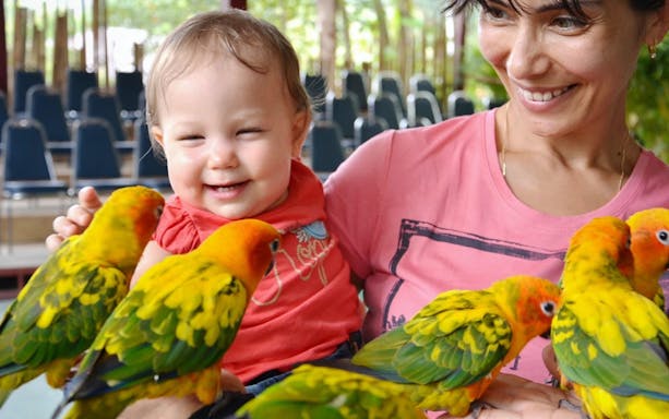 Child and adult interacting with colorful parrots at Phuket Bird Park.