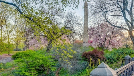 New York in March