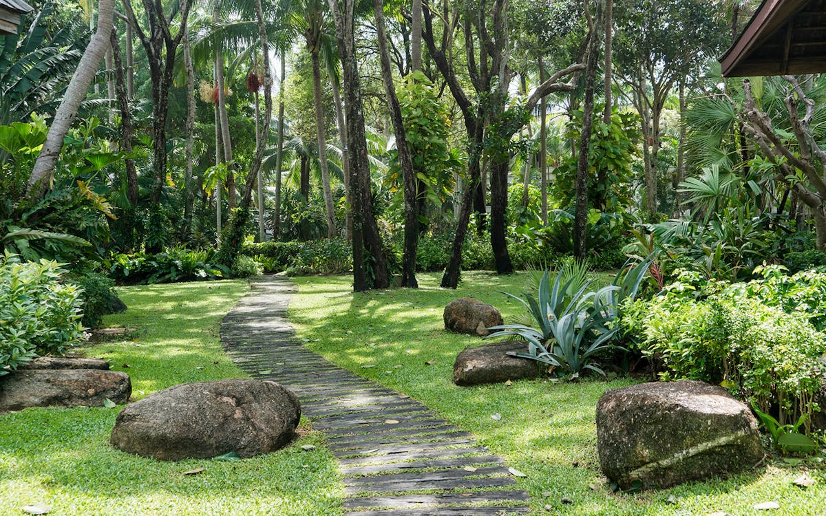 phuket botanic garden-3 phuket botanic garden-3