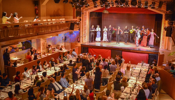 Flamenco shows and guided tours