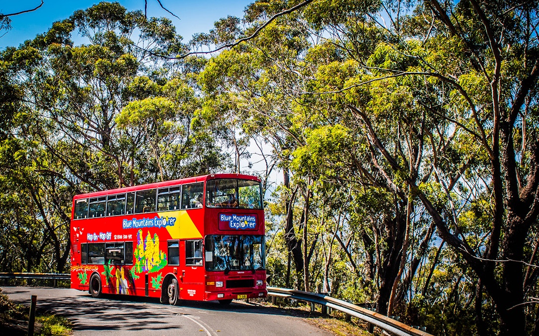 Red double-decker bus on Blue Mountain Explorer tour driving through forested area.
