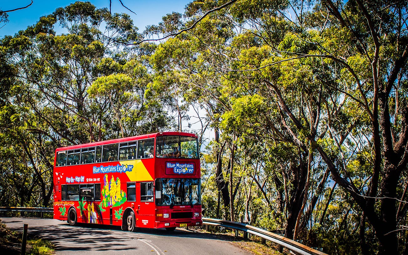 Red double-decker bus on Blue Mountain Explorer tour driving through forested area.