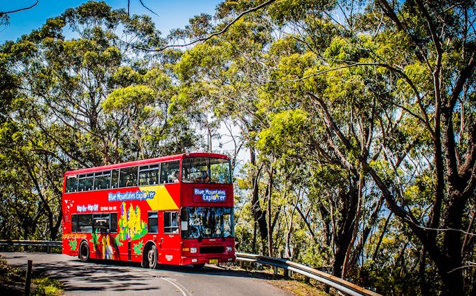 Red double-decker bus on Blue Mountain Explorer tour driving through forested area.