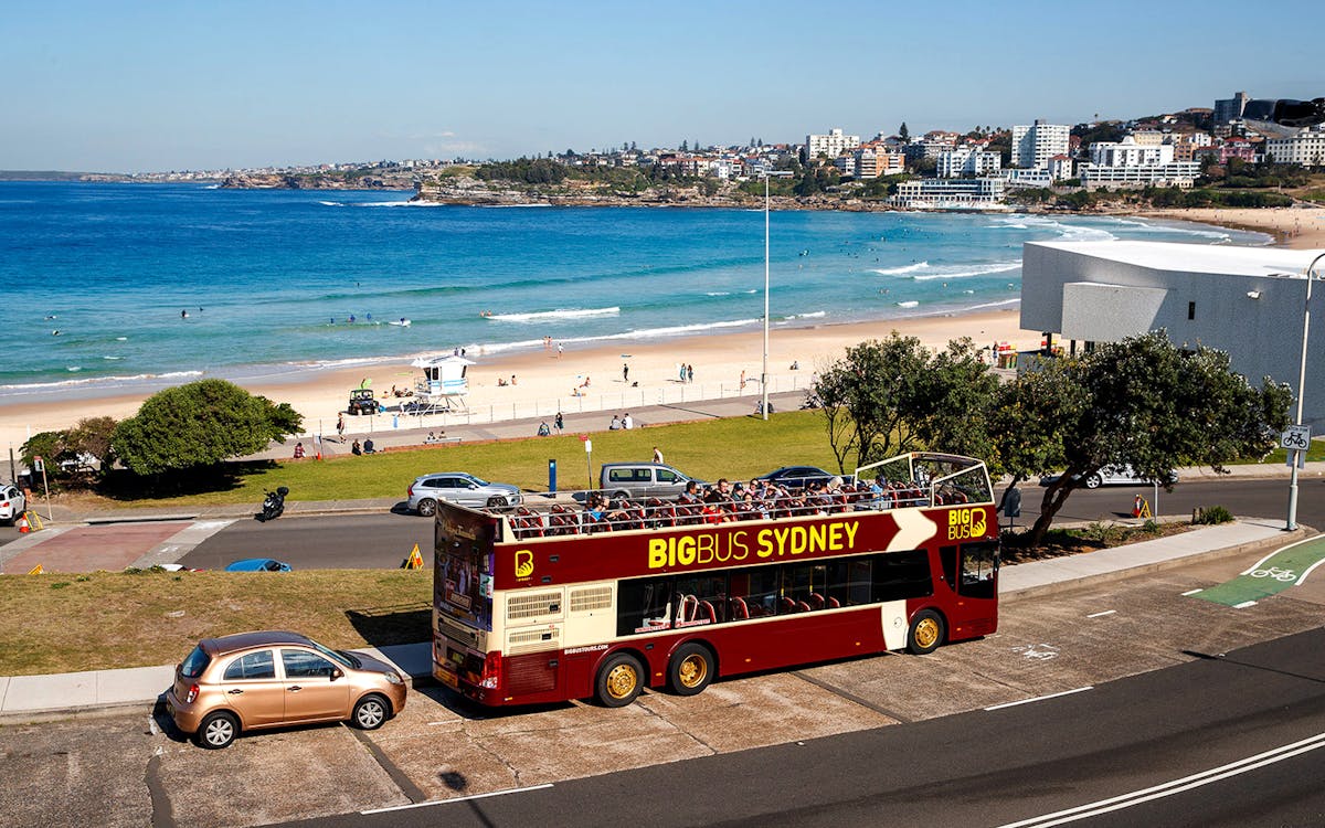 sydney hop-on-hop-off combo: big bus classic ticket + cruise-3 sydney hop-on-hop-off combo: big bus classic ticket + cruise-3