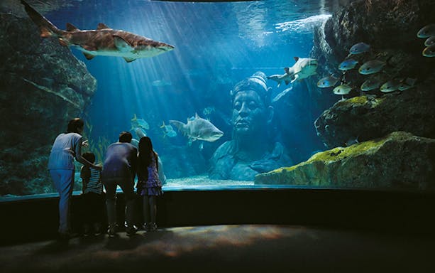 Family observing marine life and statue in aquarium, Sealife and KidZania Combo.