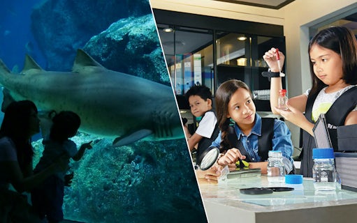 Children exploring aquarium and science activities at Sealife and KidZania Combo.