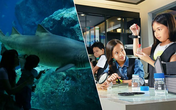 Children exploring aquarium and science activities at Sealife and KidZania Combo.
