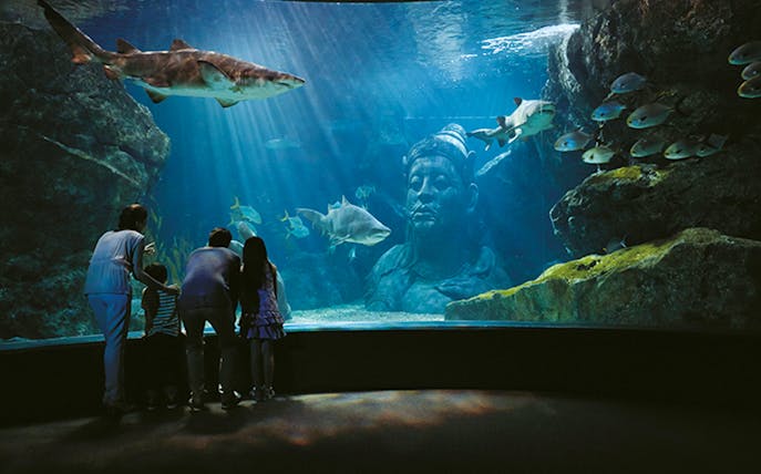 Family observing sharks and fish in an aquarium with a large underwater statue, Sealife and KidZania Combo.