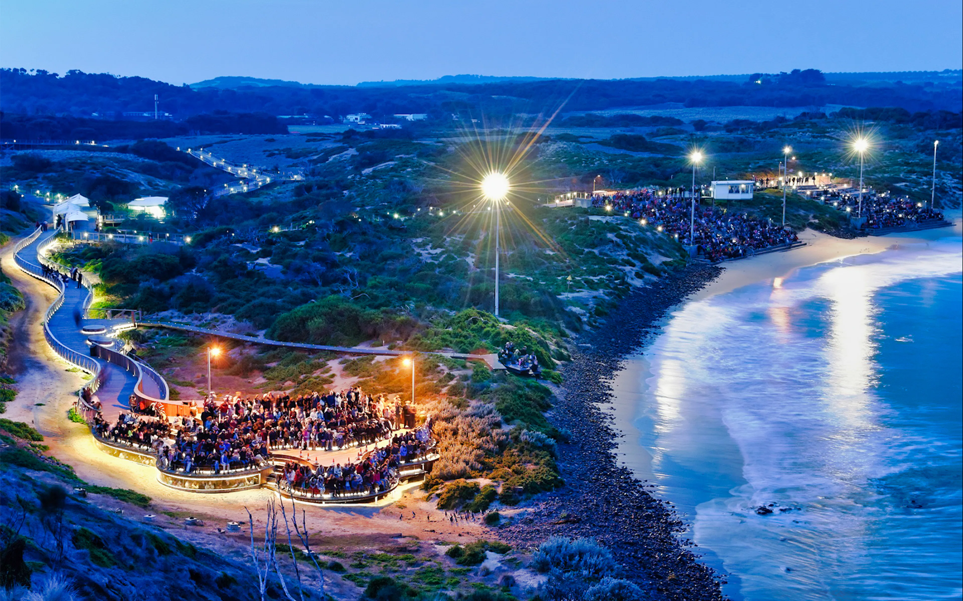 Phillip Island Penguin Parade viewing area with crowds at dusk.