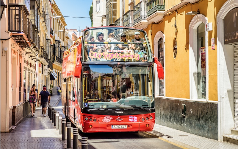 Combo (Save 10%): Seville Hop-on Hop-off Bus Tour + Alcázar + Seville Cathedral & La Giralda Tickets — gallery 1