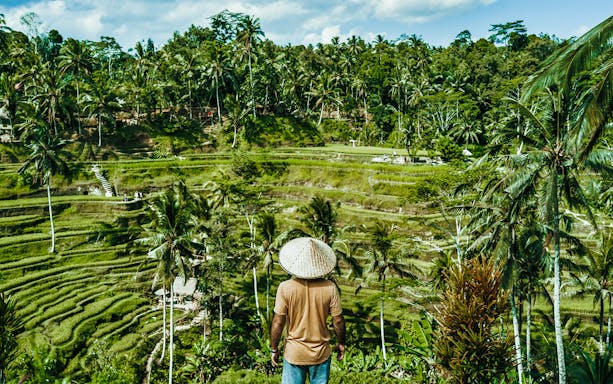 Person in straw hat overlooking Bali rice terraces.