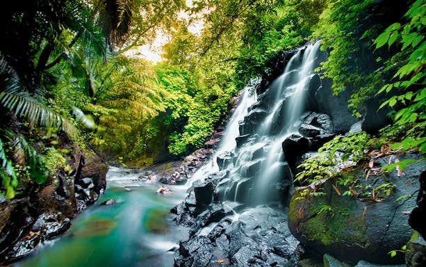 Bali waterfall surrounded by lush greenery on the Best of Bali Waterfalls Tour.