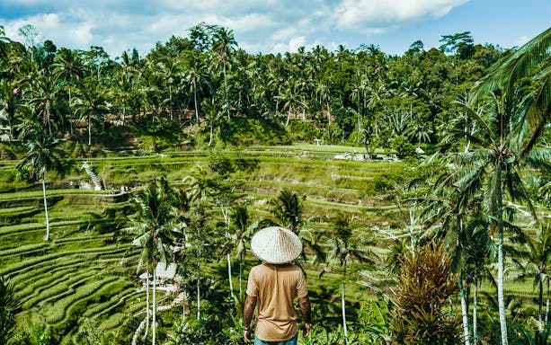 Ubud rice terraces with a person in a straw hat overlooking lush green fields in Bali.