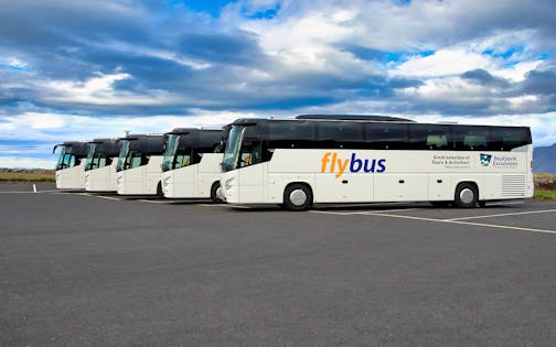 Flybus Plus: Transfers from Keflavik Airport to Reykjavík Hotels