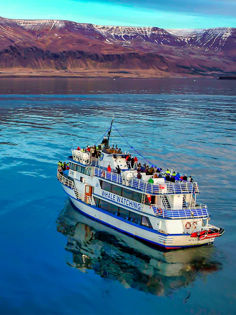 Whale watching boat on Icelandic waters with mountains in the background.