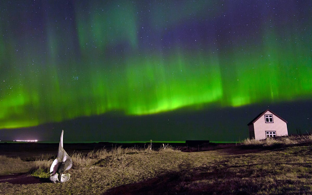 the blue lagoon comfort admission & northern lights tour with hotel pickup/drop off-4 the blue lagoon comfort admission & northern lights tour with hotel pickup/drop off-4