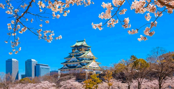 Osaka Castle surrounded by cherry blossoms, viewable with JR-West Kansai Rail Pass.