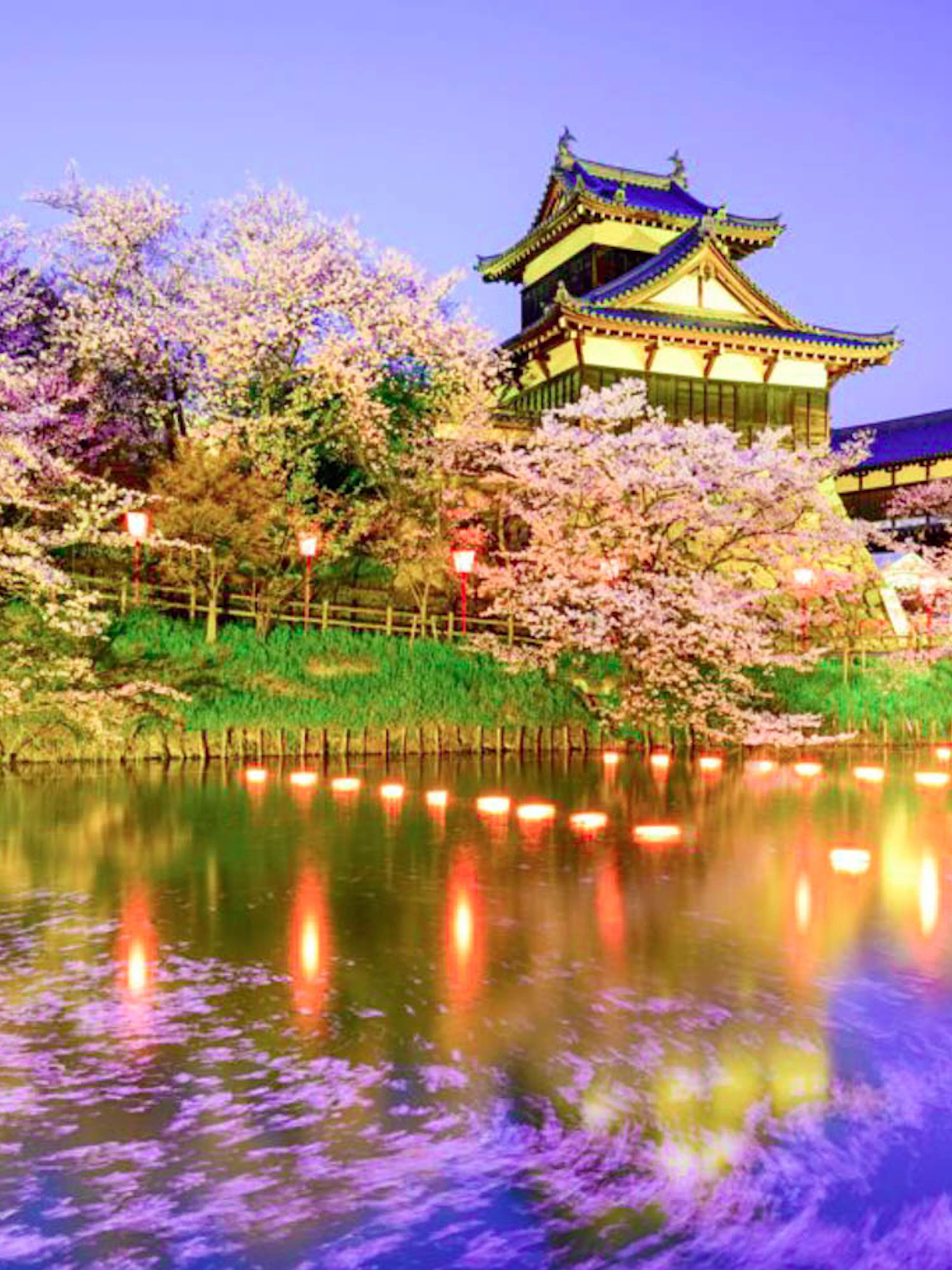 Japanese castle with cherry blossoms and illuminated pond in Kansai region.