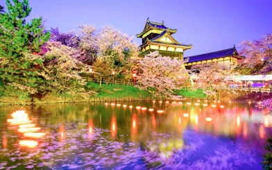 Japanese castle with cherry blossoms and illuminated pond in Kansai region.