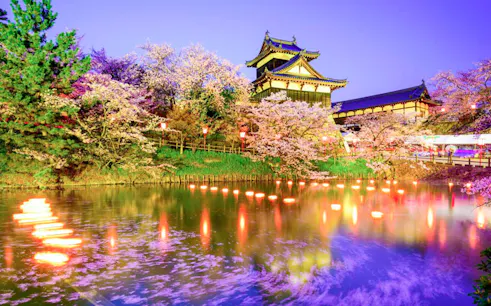 Japanese castle with cherry blossoms and illuminated pond in Kansai region.