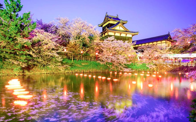 Japanese castle with cherry blossoms and illuminated pond in Kansai region.