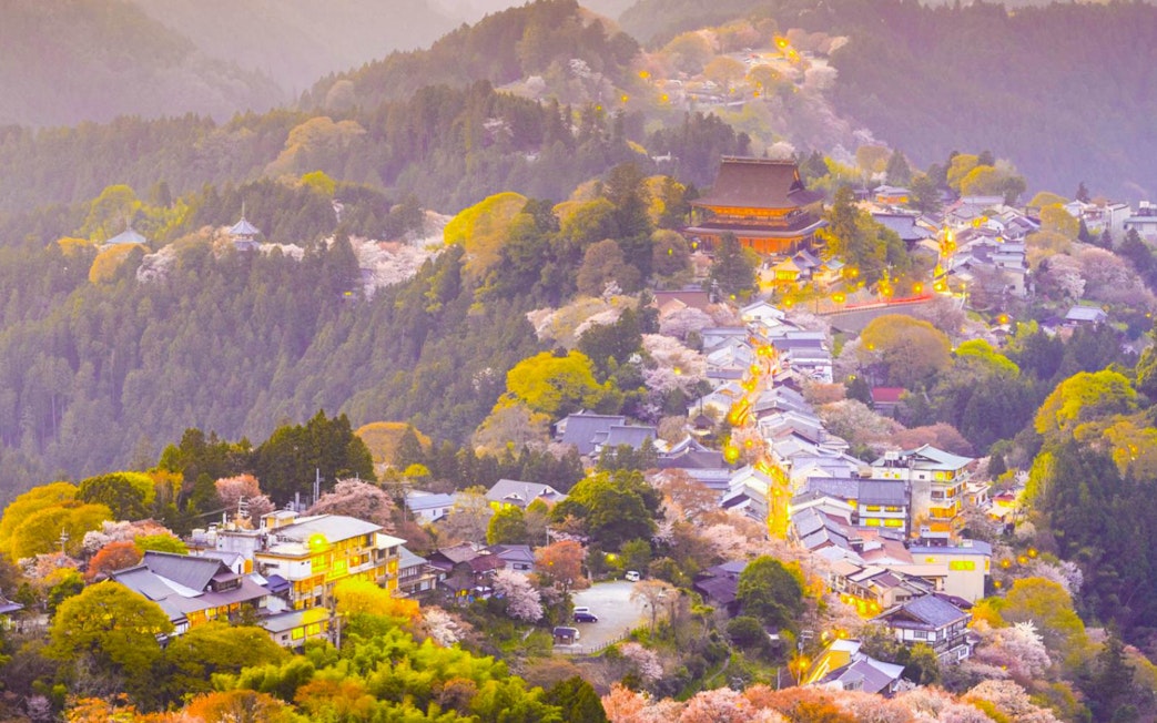 Aerial view of Yoshino town with cherry blossoms and traditional buildings in Nara, Japan.