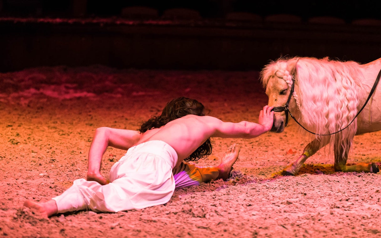 Performer with a pony during a show at Chateau of Chantilly.