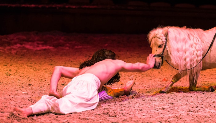 Great Stables Equestrian Shows