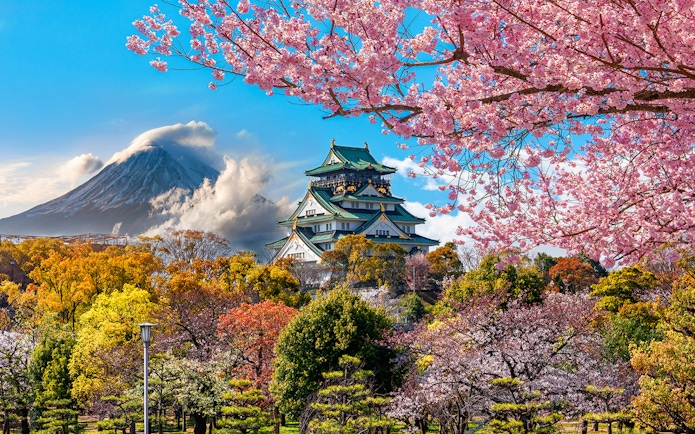 Osaka Castle surrounded by cherry blossoms with a mountain in the background.