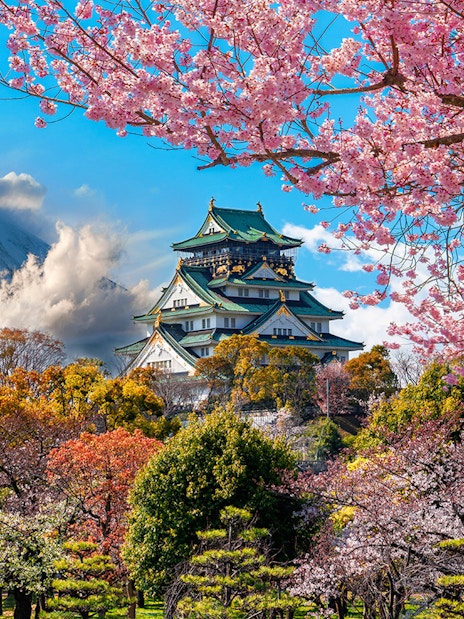 Osaka Castle surrounded by cherry blossoms with a mountain in the background.