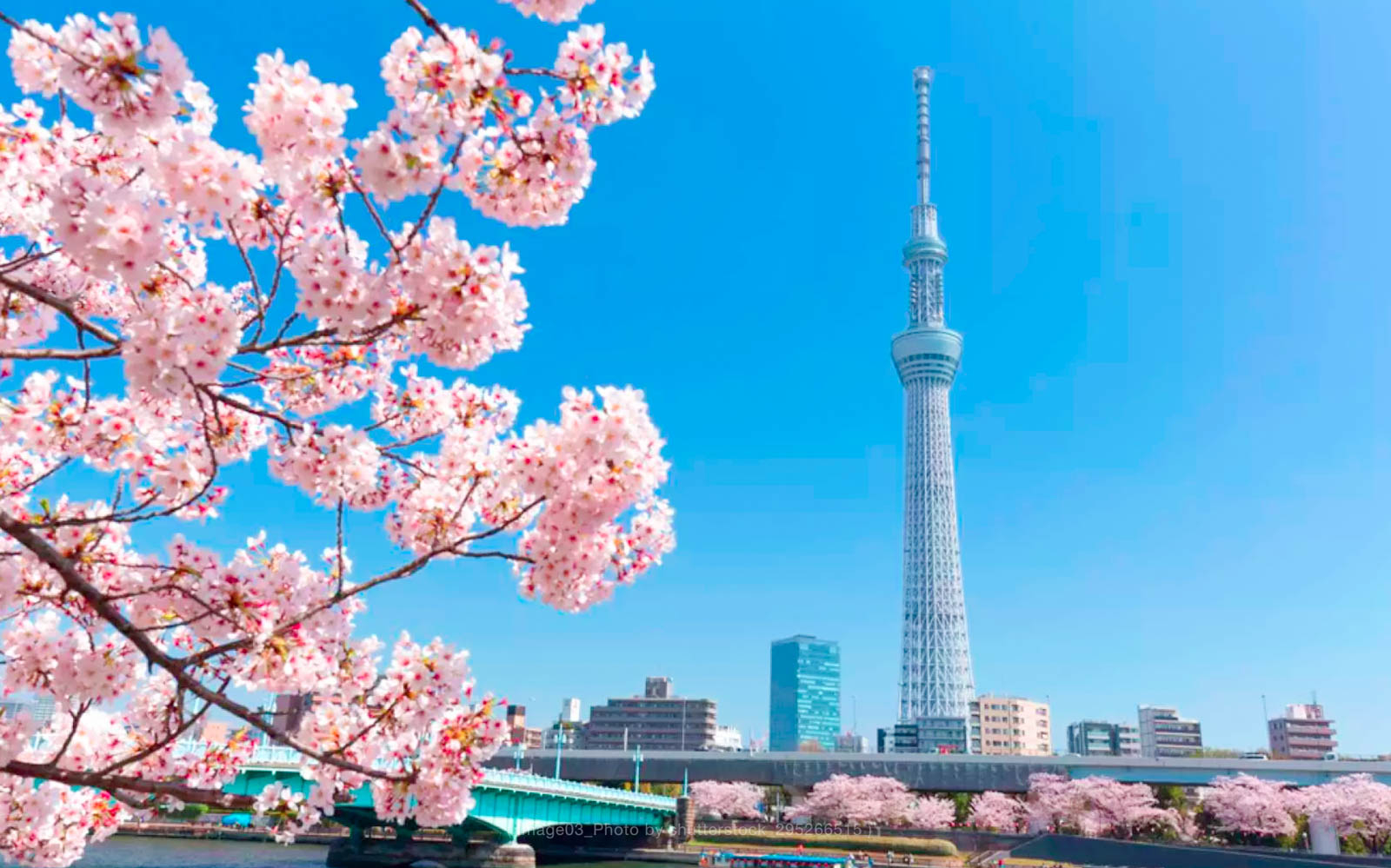 Tokyo Skytree Admission Ticket | Best Price Guarantee From Headout