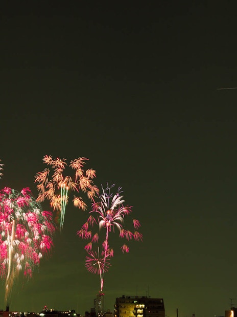 Fireworks display near Tokyo Skytree at night, Japan.